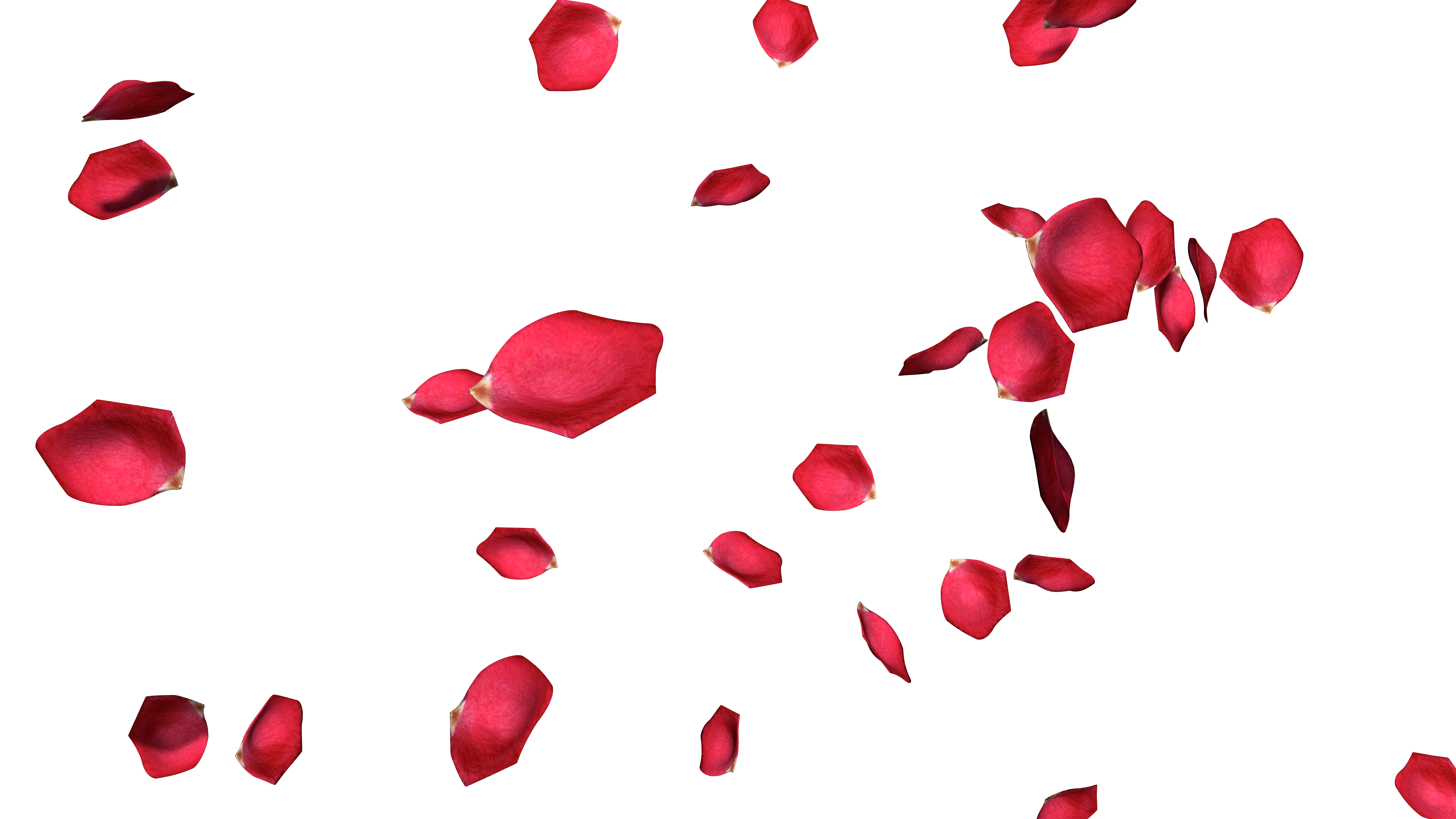 Decorazione destra
